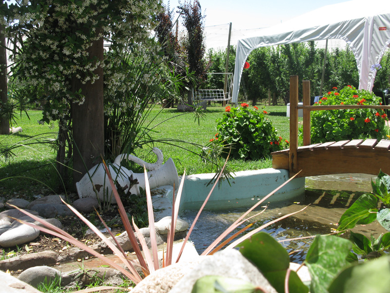jardin2